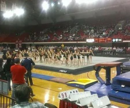 Team Attraction Gymnastics