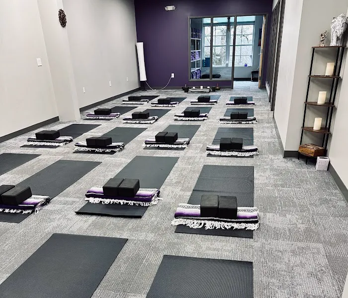 Lucky Elephant Yoga and Wellness Picture 5