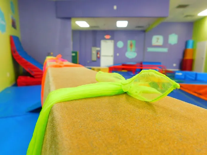 The Little Gym of Cary Picture 5