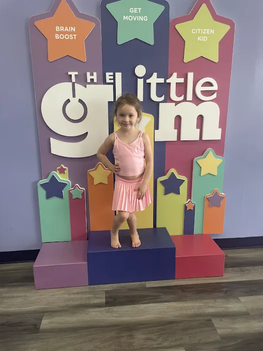 The Little Gym of Cary Picture 4