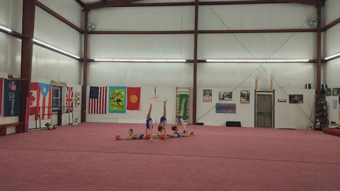 Triangle Rhythmic Gymnastics Picture 5