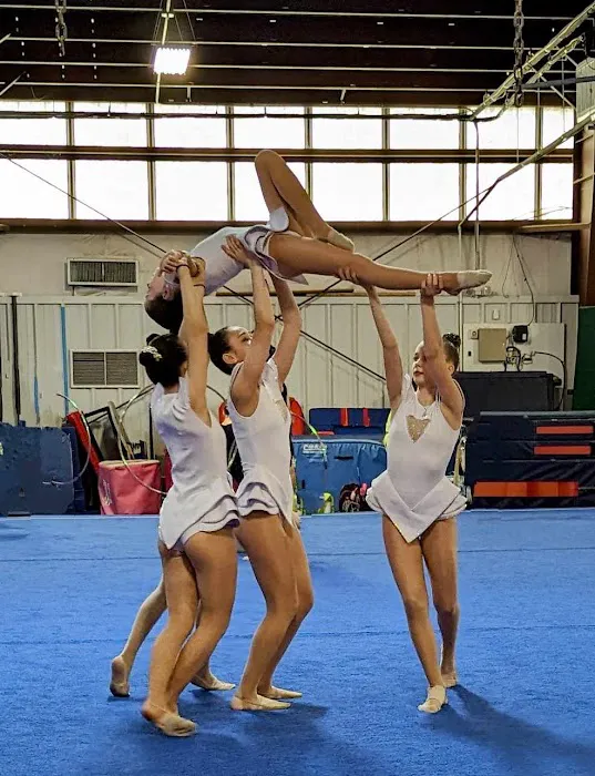 Triangle Rhythmic Gymnastics Picture 8