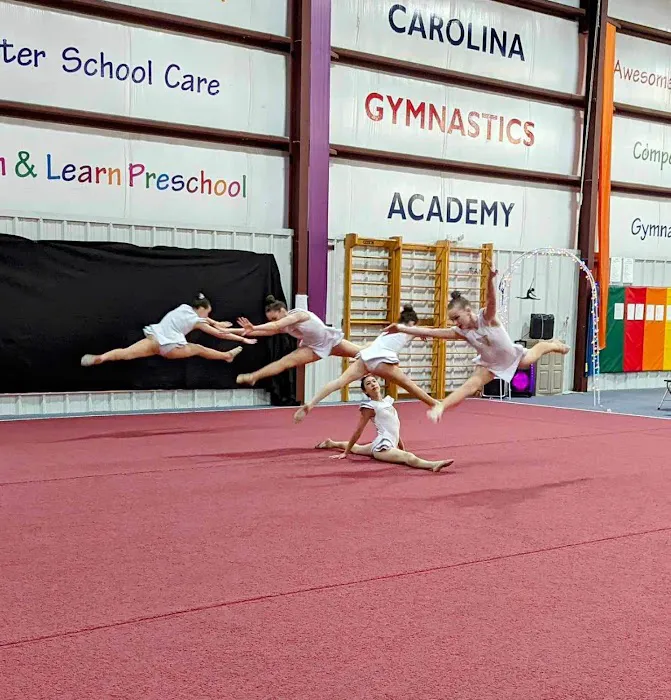 Triangle Rhythmic Gymnastics Picture 10