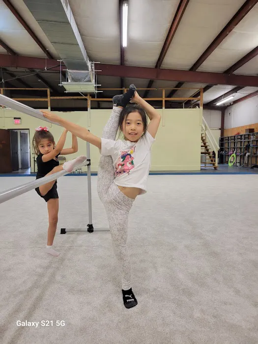 Triangle Rhythmic Gymnastics Picture 6