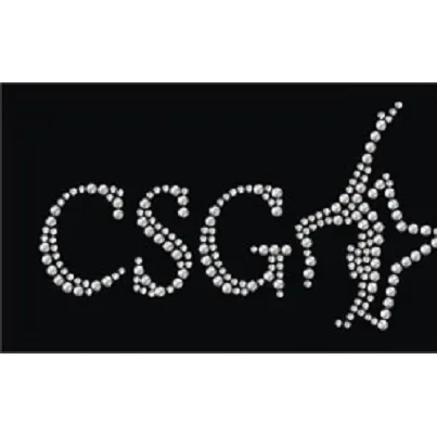 Cary School of Gymnastics Picture 1