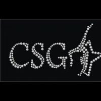 Cary School of Gymnastics ico