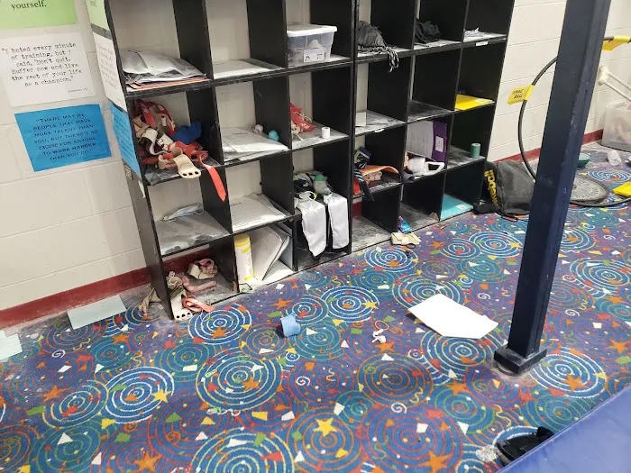 TRIumph Gymnastics Picture 8