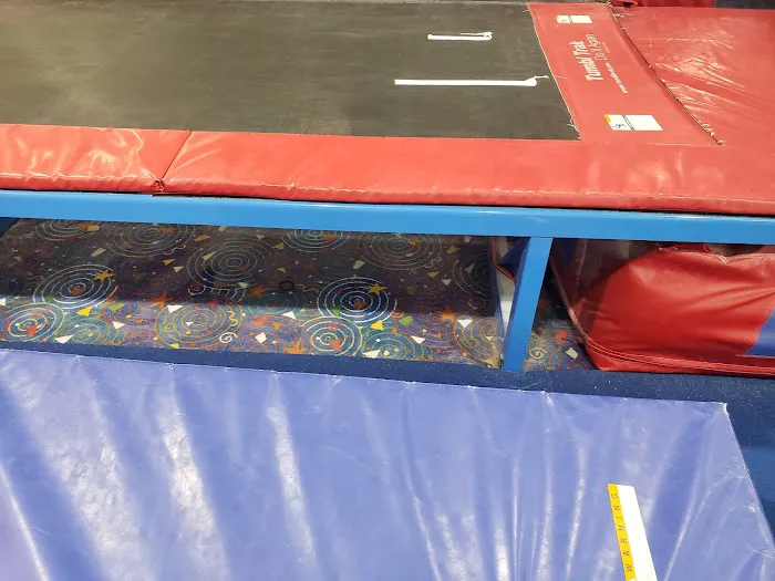 TRIumph Gymnastics Picture 1