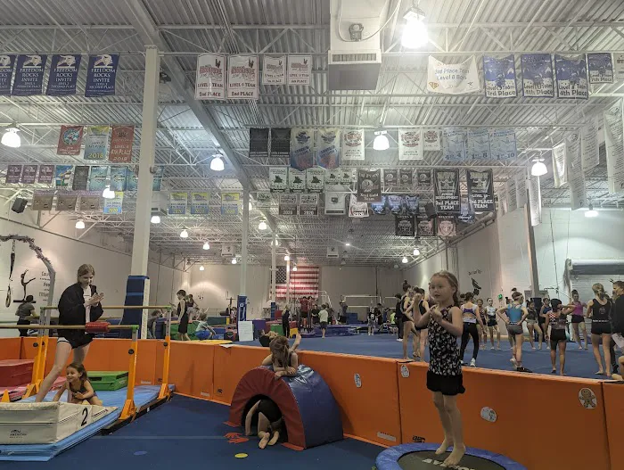 TRIumph Gymnastics Picture 7