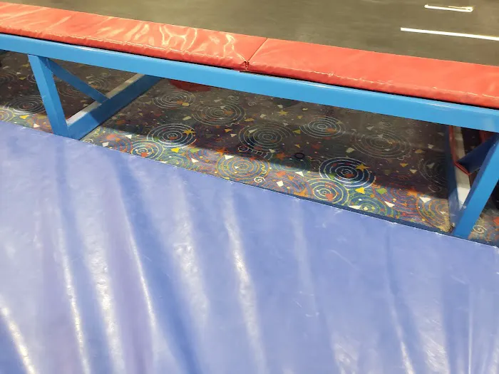 TRIumph Gymnastics Picture 6