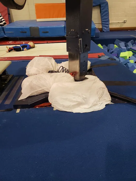 TRIumph Gymnastics Picture 4