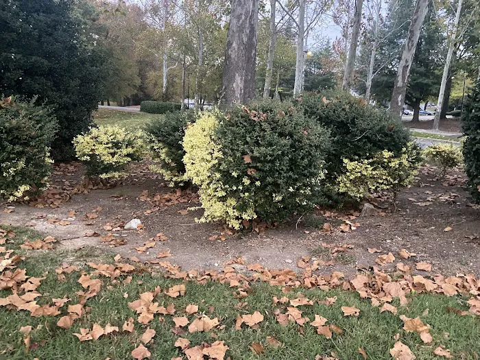 Morrisville Aquatics & Fitness Center Picture 5