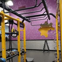 Planet Fitness ico