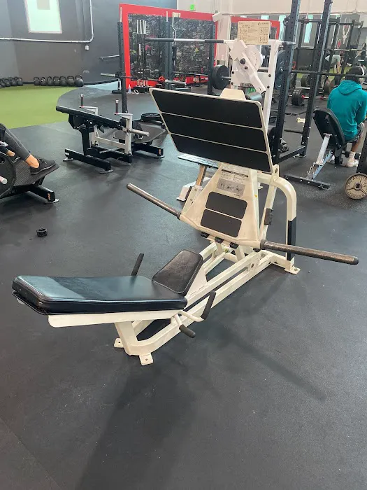 Bucked Up Fitness Picture 4