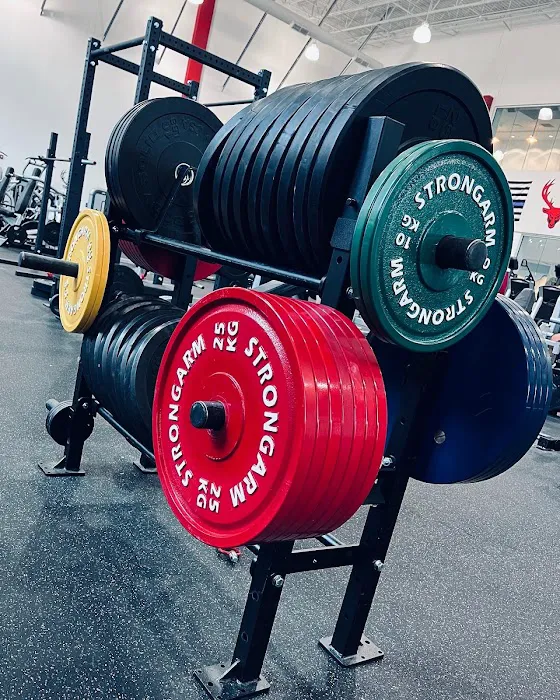 Bucked Up Fitness Picture 2