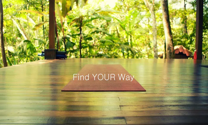 Discover Yoga & Physical Therapy Picture 3