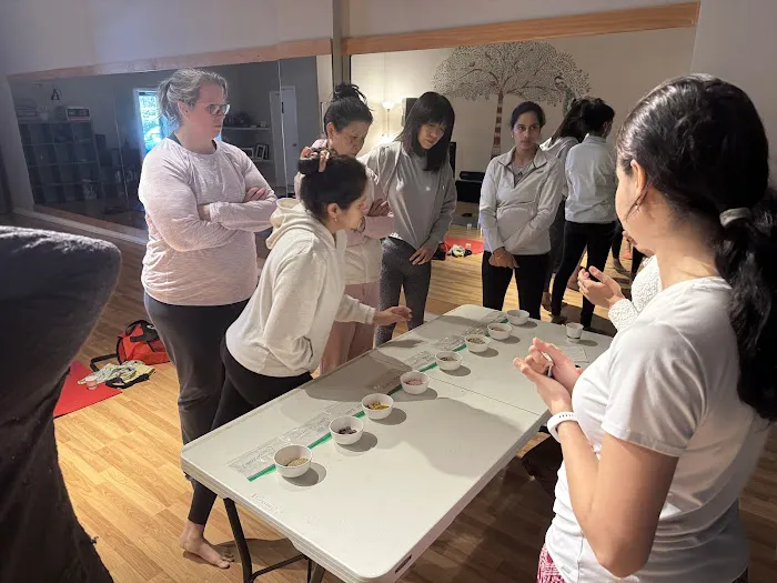 Triangle Shala Yoga Studio Picture 2