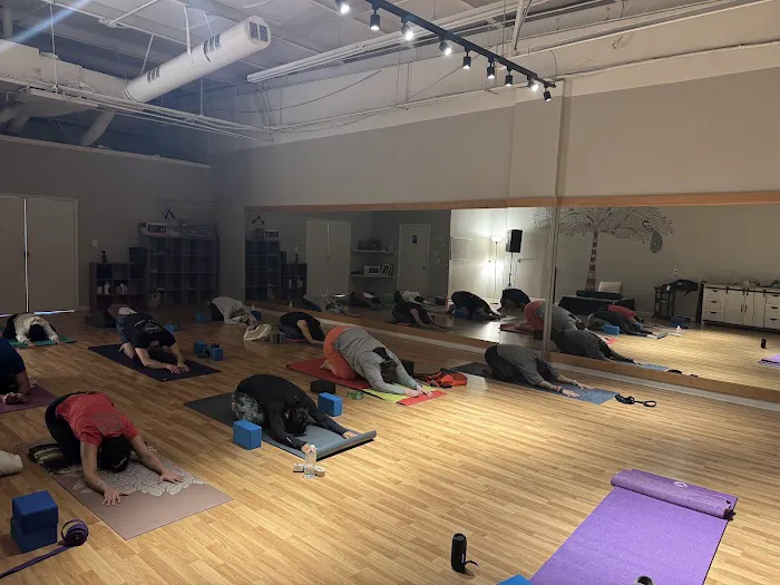 Triangle Shala Yoga Studio Picture 1