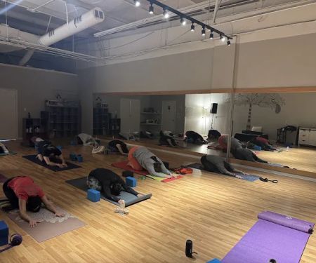 Triangle Shala Yoga Studio