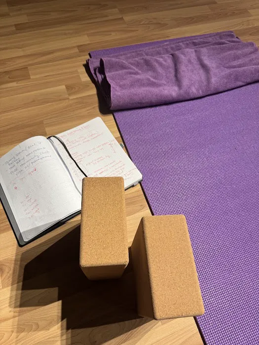 Triangle Shala Yoga Studio Picture 3