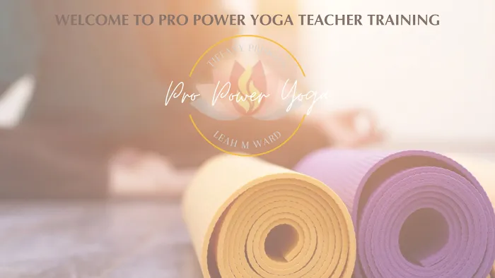 Pro Power Yoga Teacher Training Picture 3