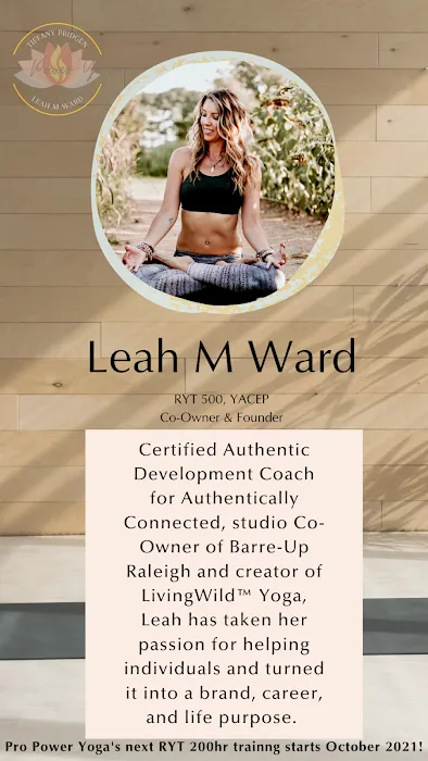 Pro Power Yoga Teacher Training Picture 6