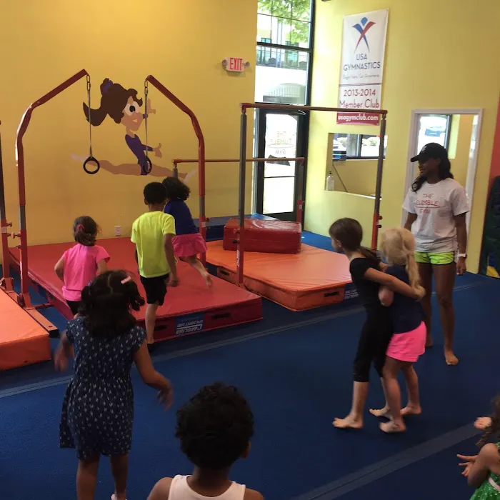 The Tumble Gym @ Lake Boone Gymnastics Picture 9