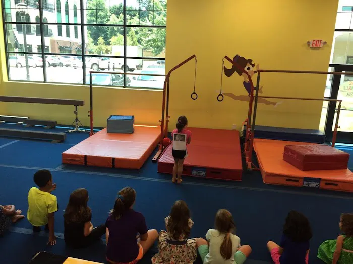 The Tumble Gym @ Lake Boone Gymnastics Picture 5