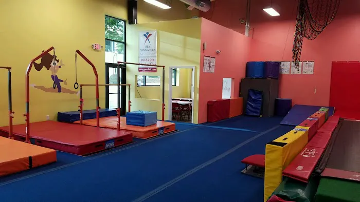 The Tumble Gym @ Lake Boone Gymnastics Picture 8