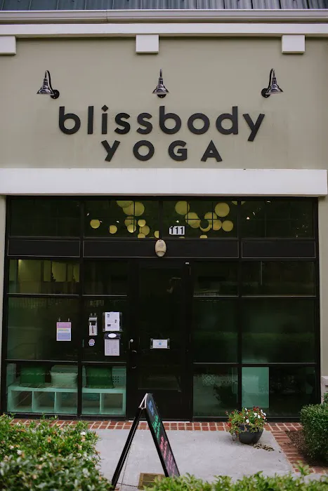 Bliss Body Yoga Picture 3
