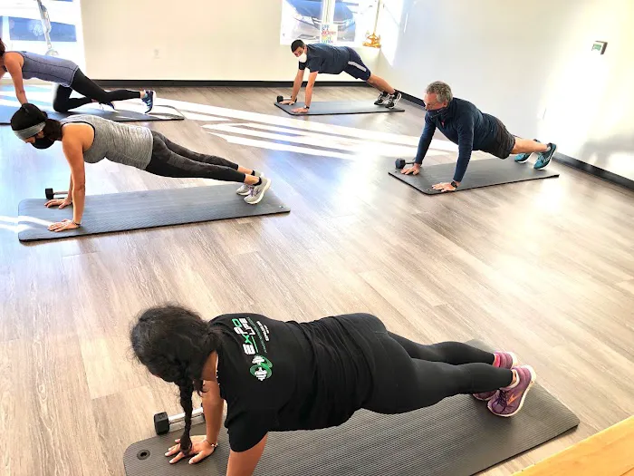 ExPo LIFE FITNESS Picture 2