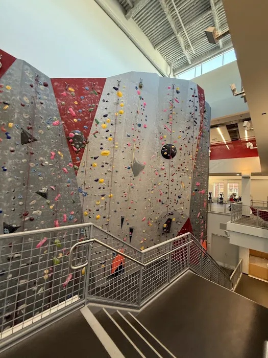 Wellness and Recreation Center and Carmichael Gym Picture 10