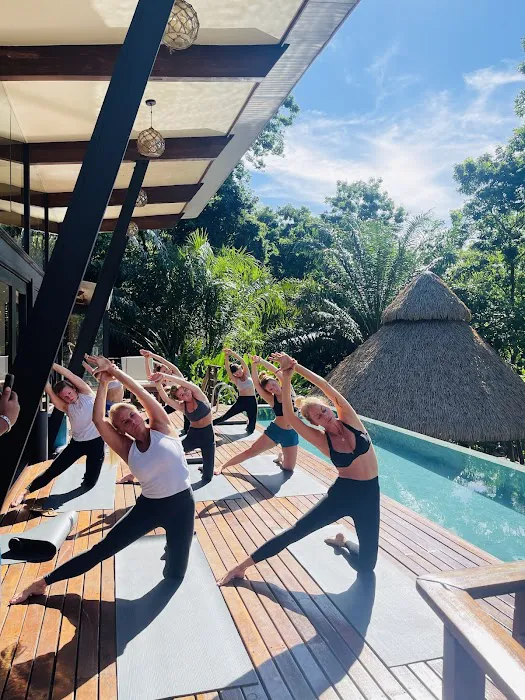 The Gypsy Yogi Picture 5