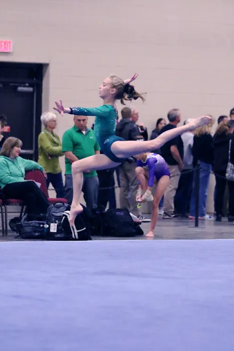 WAKE Gymnastics Inc. Picture 7