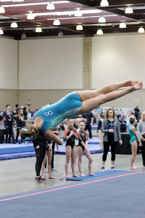 WAKE Gymnastics Inc. Picture 2