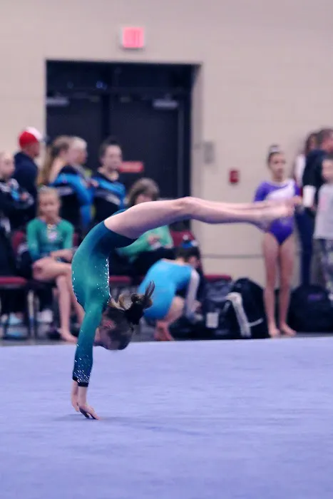 WAKE Gymnastics Inc. Picture 6