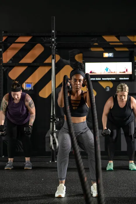 Volofit Glenwood South Picture 3