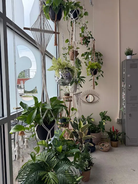 YOGA SOUL•LEC•TIVE Picture 9