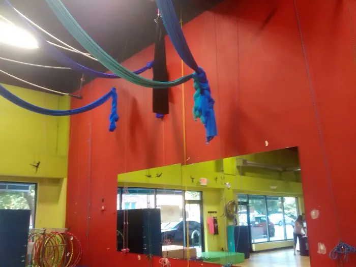 Cirque de Vol Aerial, Yoga, Fitness & Circus Community Picture 7