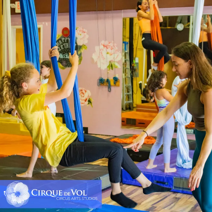 Cirque de Vol Aerial, Yoga, Fitness & Circus Community Picture 9