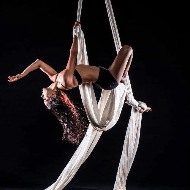 Cirque de Vol Aerial, Yoga, Fitness & Circus Community Picture 8