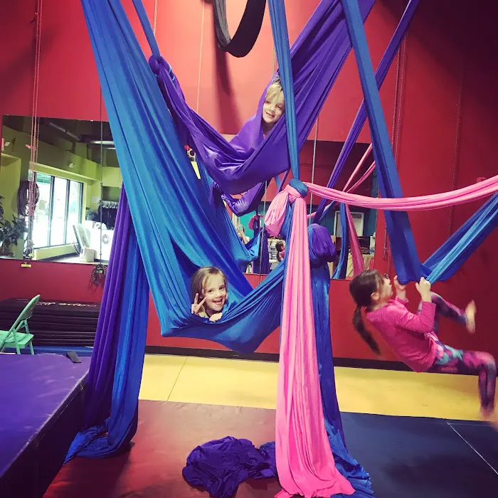 Cirque de Vol Aerial, Yoga, Fitness & Circus Community Picture 6