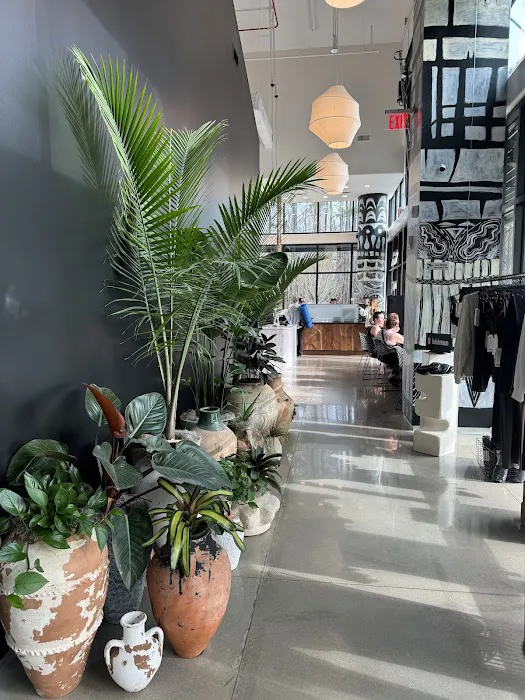 Dose Yoga and Smoothie Bar Picture 10