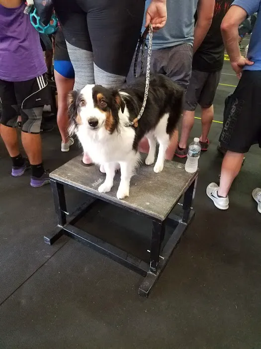 CrossFit RTP Picture 4