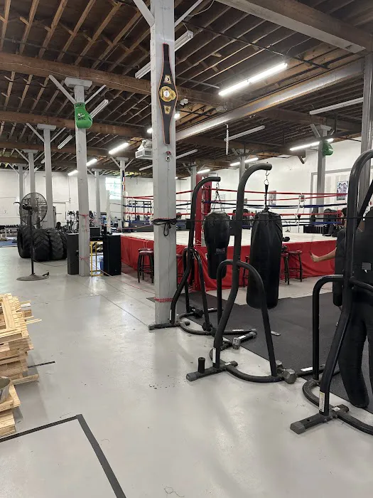 Jawbreaker Boxing Picture 6