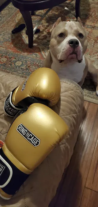 Jawbreaker Boxing Picture 8