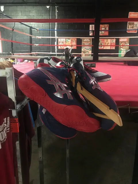 Body Force Boxing & Fitness Gym, Inc. Picture 2