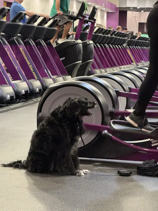 Planet Fitness Picture 10