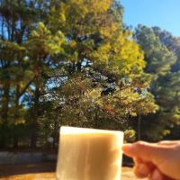 LEGACY NUTRITION ico