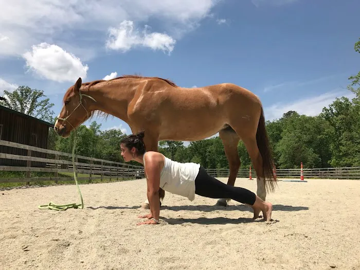 Raleigh NC Yoga LLC aka y Respira... Picture 3